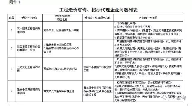 工程造價(jià)咨詢、招標(biāo)代理企業(yè)問題列表