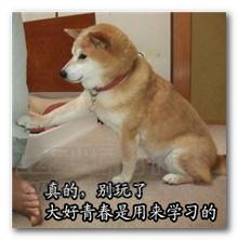 同為造價(jià)人，他是如何做到年入百萬(wàn)的