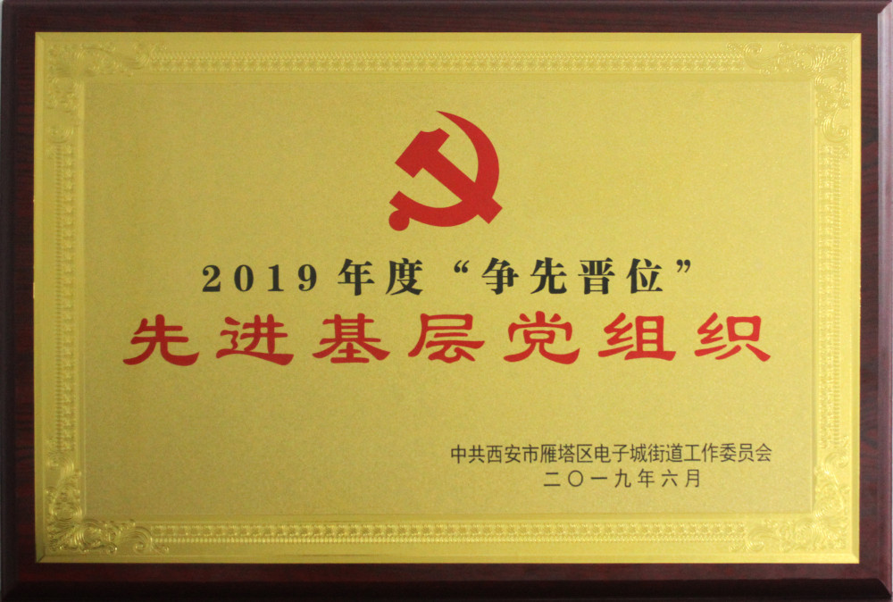 &ldquo;2019年度爭先晉位&rdquo;先進(jìn)基層黨組織