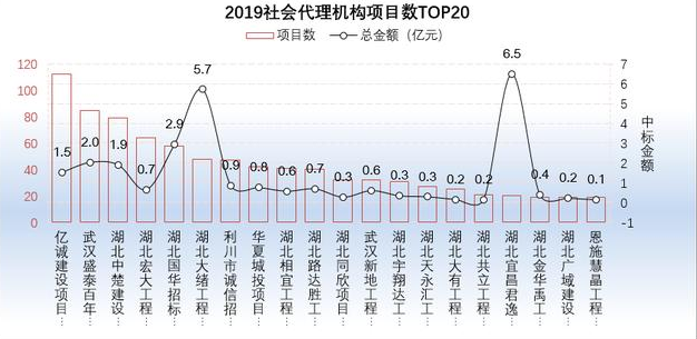 2019社會代理機構(gòu)項目數(shù)TOP20