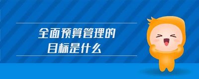 全面預算管理的目的是什么？